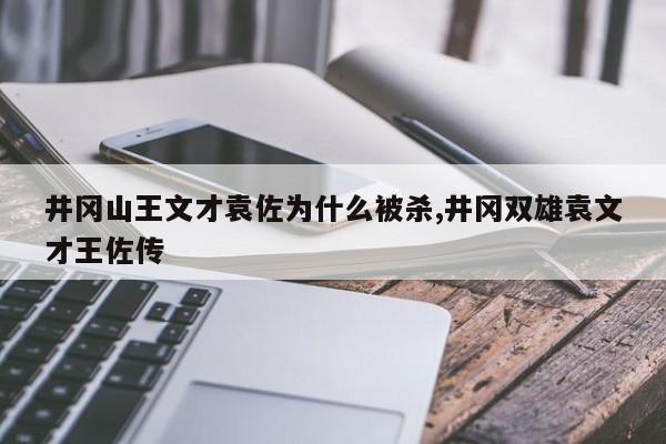 井冈山王文才袁佐为什么被杀,井冈双雄袁文才王佐传